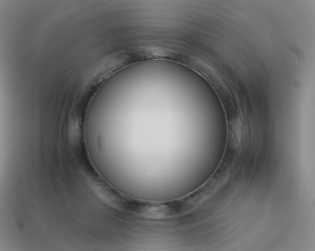 X0000113870410200910081731