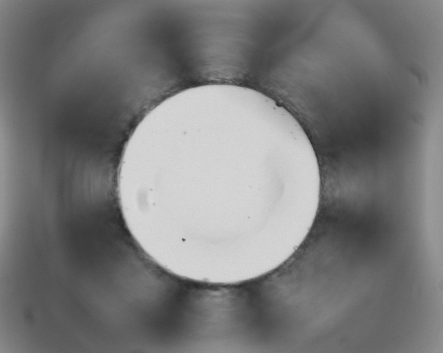 X0000113870411200910081731