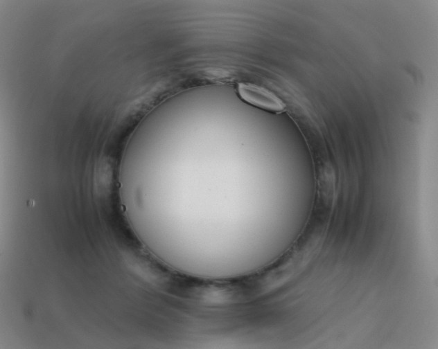 X0000113870412200910081731