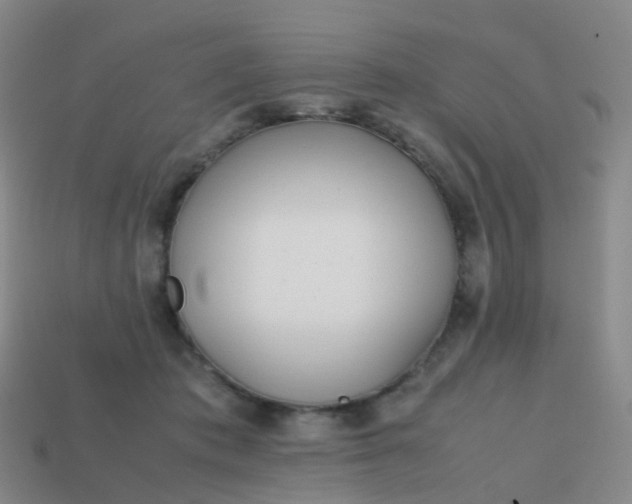 X0000113870413200910081731