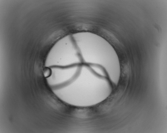 X0000113870414200910081731