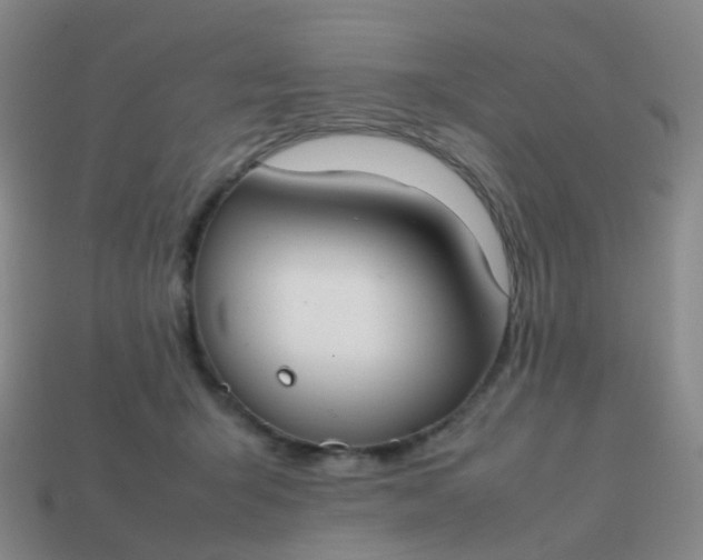 X0000113870415200910081731