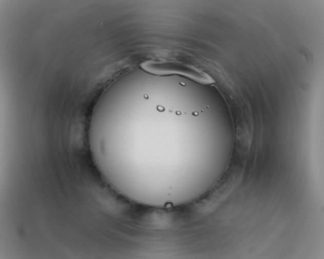 X0000113870416200910081731