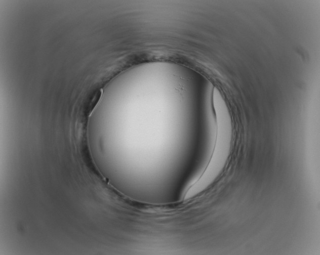 X0000113870417200910081731