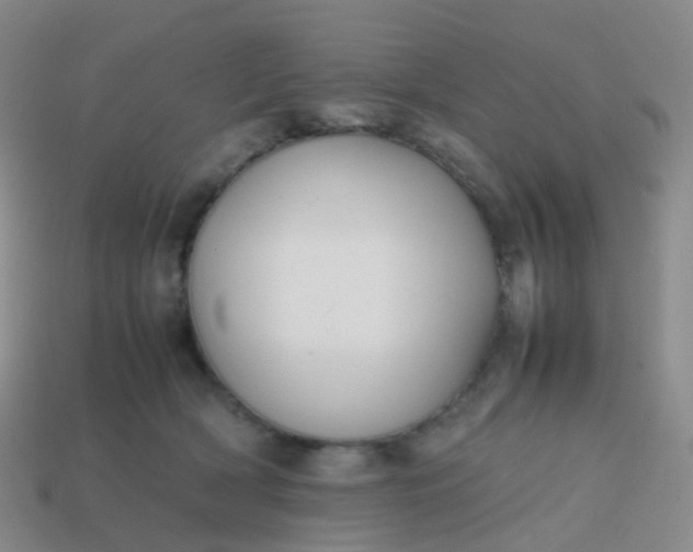 X0000113870418200910081731