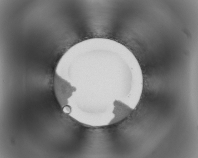 X0000113870419200910081731