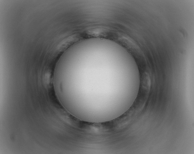 X0000113870420200910081730