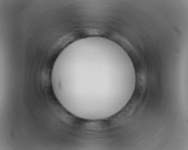 X0000113870422200910081730