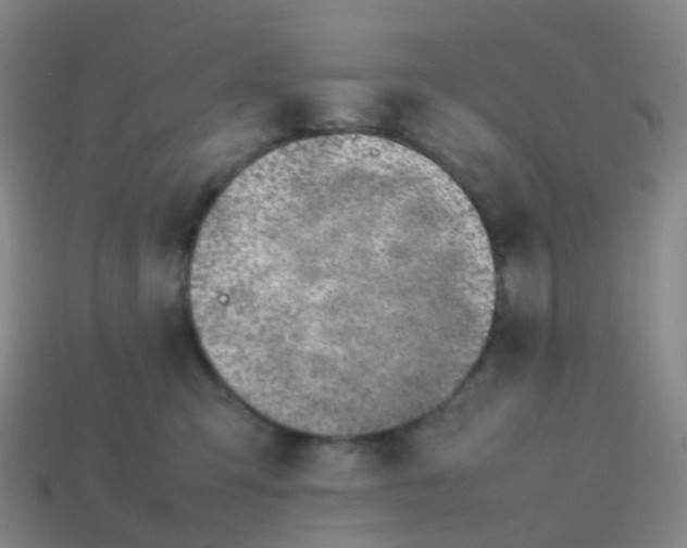 X0000113870423200910081730