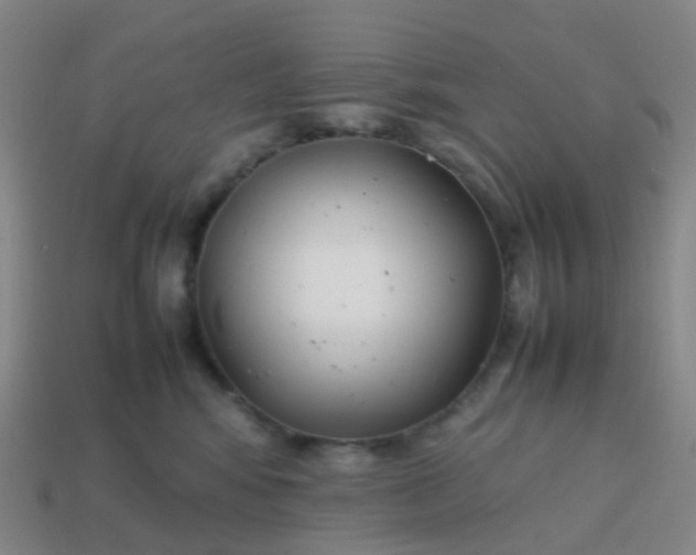 X0000113870424200910081730