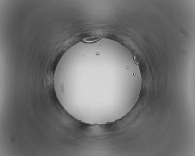 X0000113870425200910081730