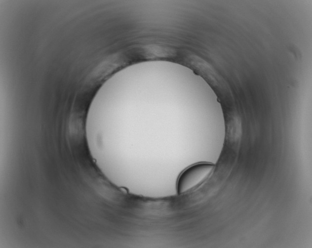 X0000113870426200910081730