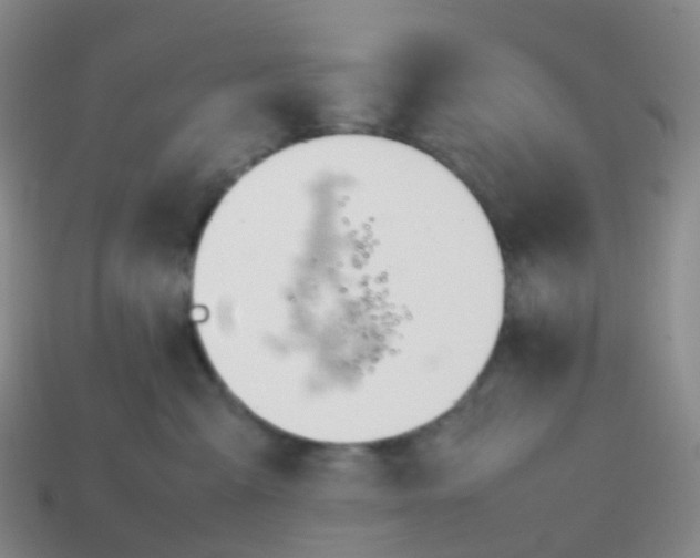 X0000113870427200910081730