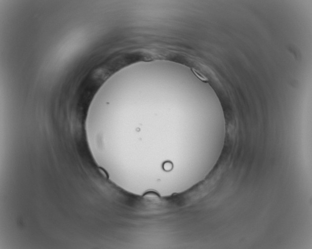 X0000113870429200910081730