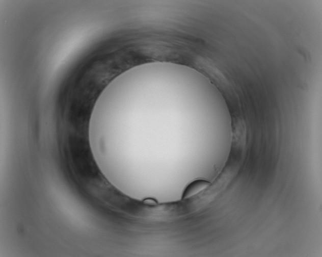 X0000113870430200910081730