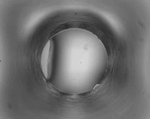 X0000113870431200910081730