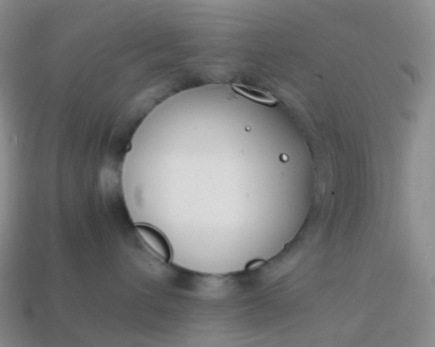 X0000113870432200910081730