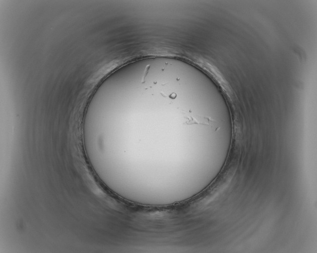 X0000113870433200910081730