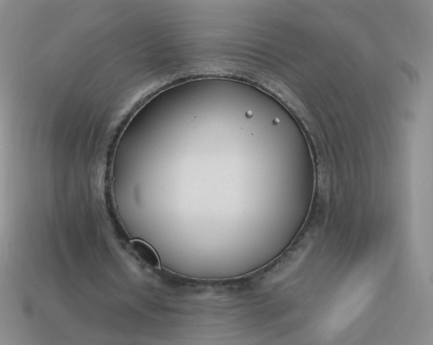 X0000113870434200910081730