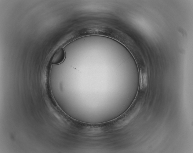 X0000113870435200910081730