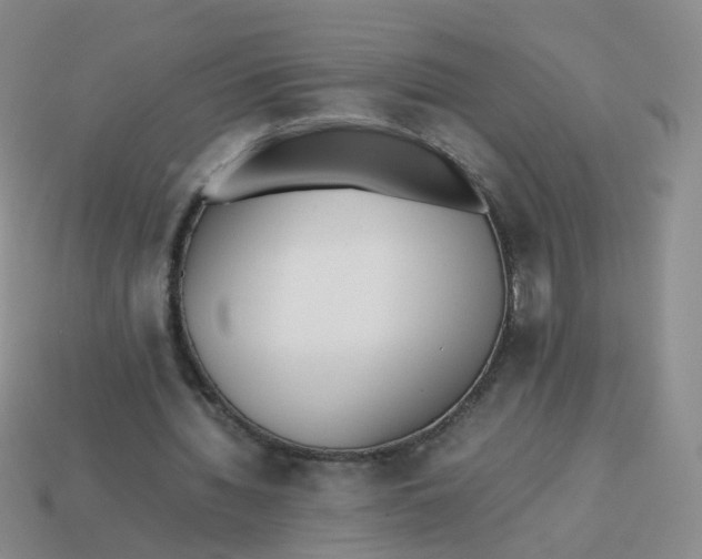 X0000113870436200910081730