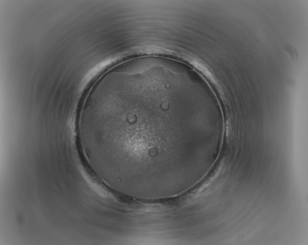 X0000113870438200910081730