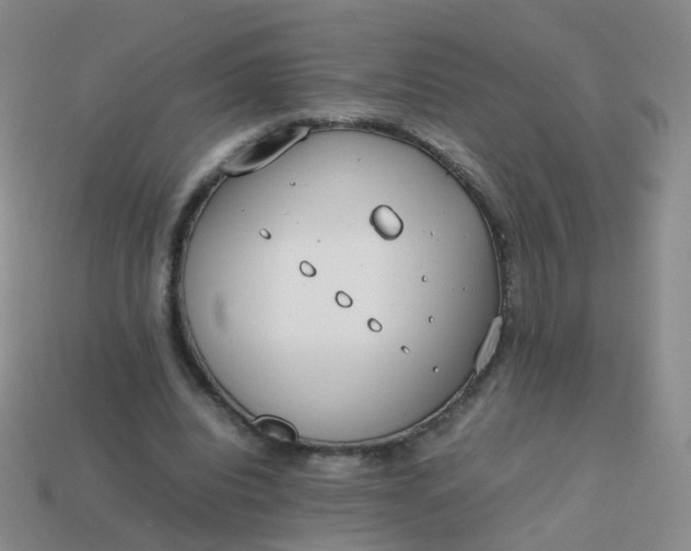 X0000113870440200910081730