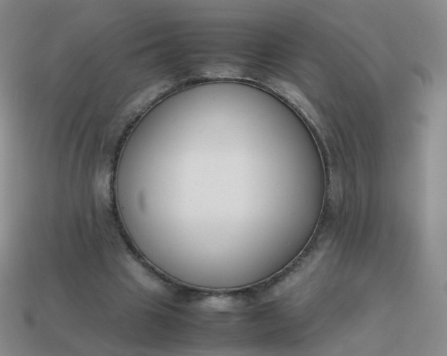 X0000113870441200910081730