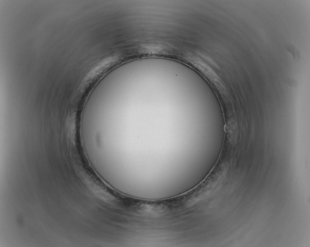 X0000113870442200910081730