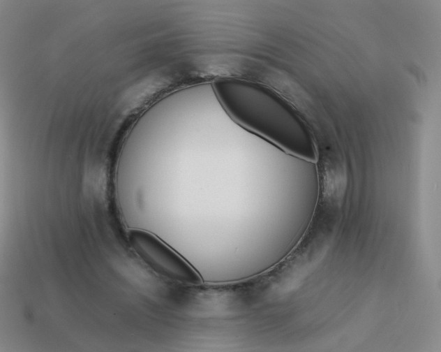 X0000113870444200910081730