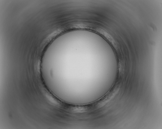 X0000113870445200910081730