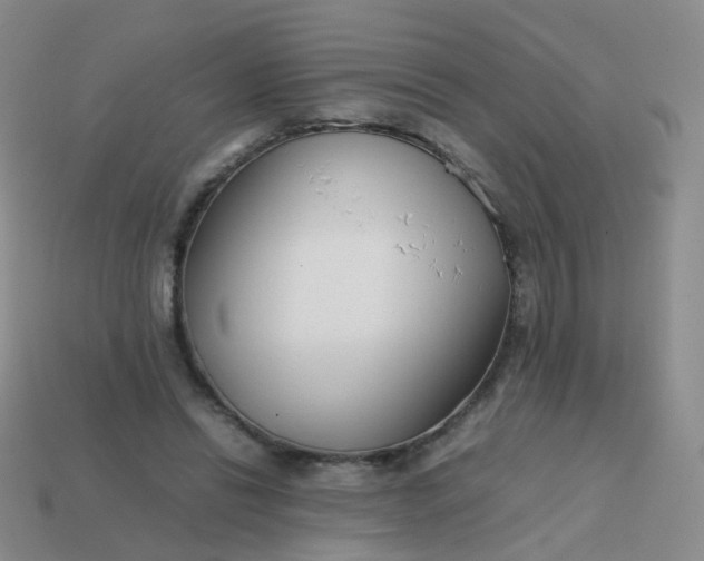 X0000113870446200910081730