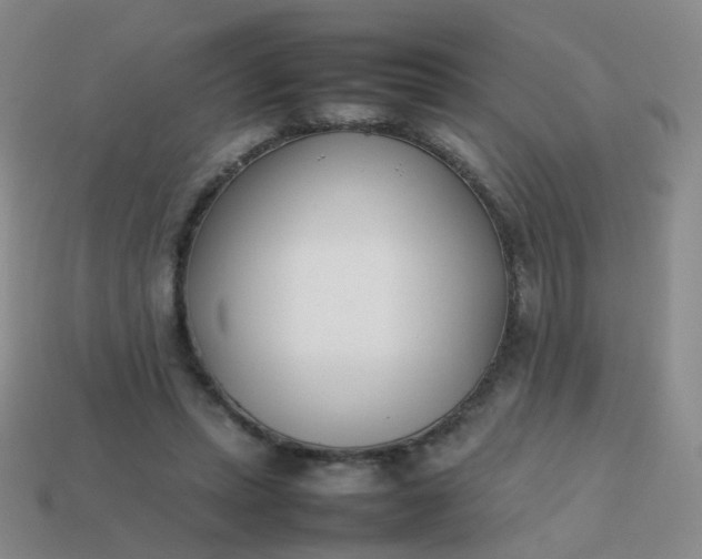 X0000113870447200910081730