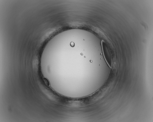 X0000113870448200910081730