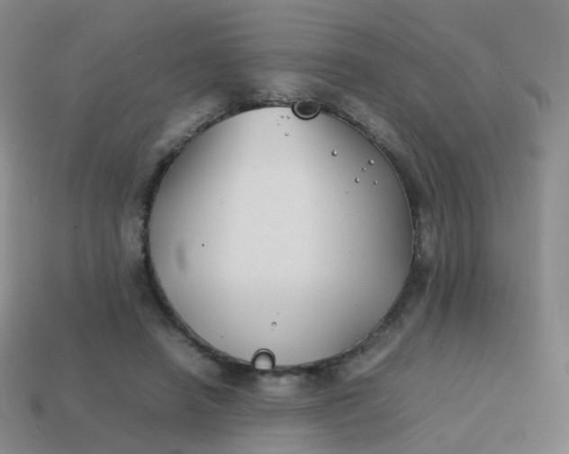 X0000113870450200910081730