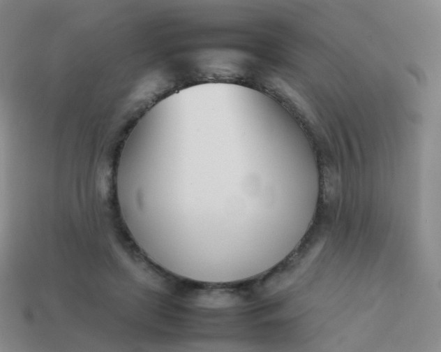 X0000113870451200910081730