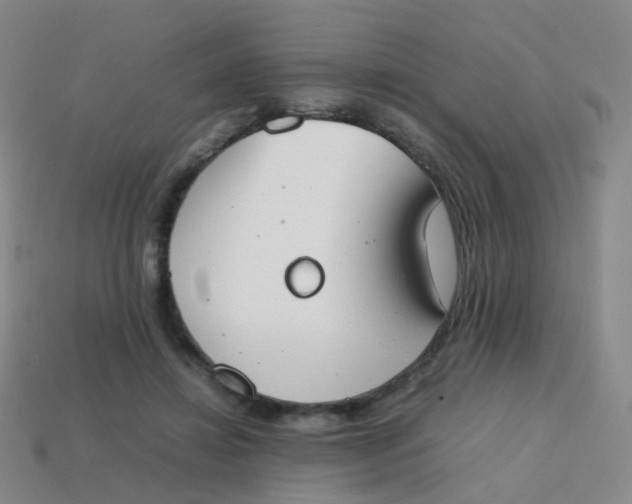 X0000113870452200910081730