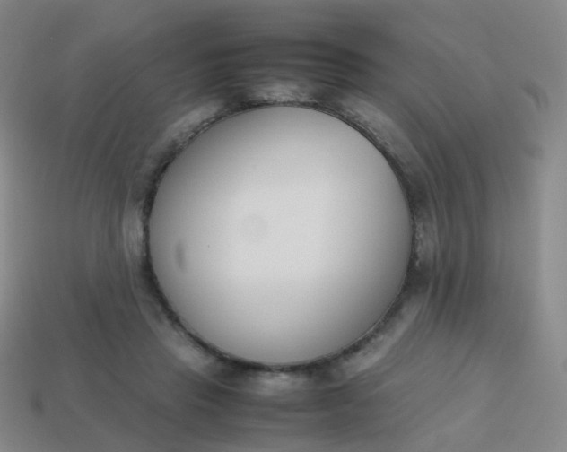 X0000113870453200910081730