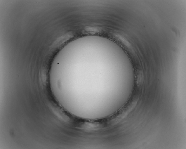 X0000113870455200910081730