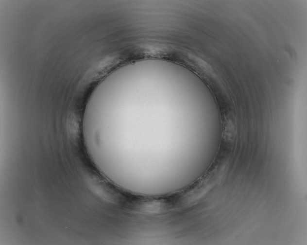 X0000113870456200910081730