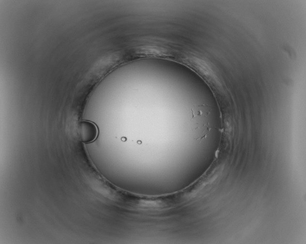 X0000113870457200910081730