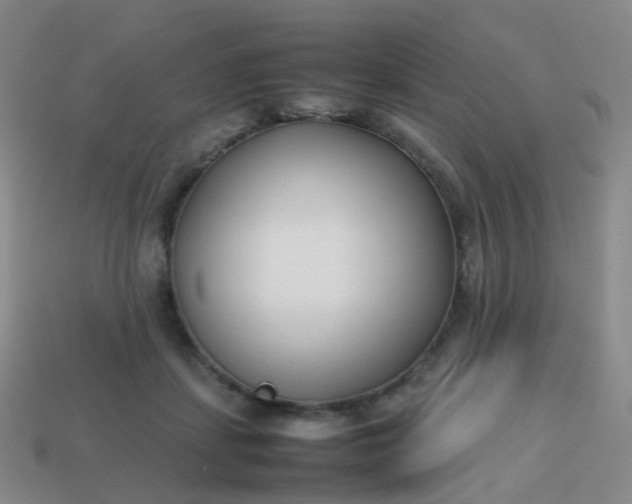 X0000113870459200910081730