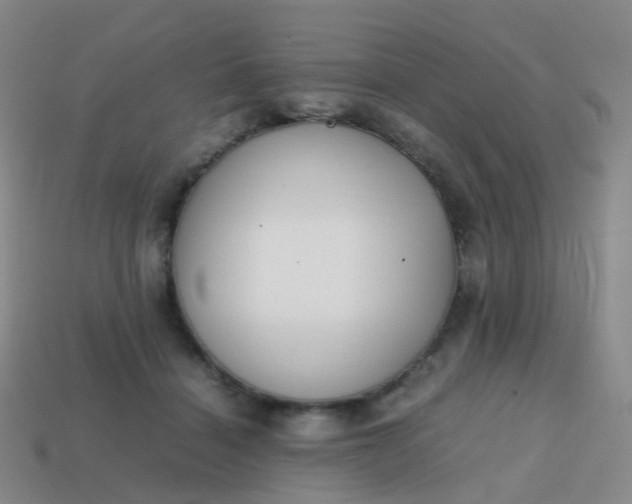 X0000113870460200910081730