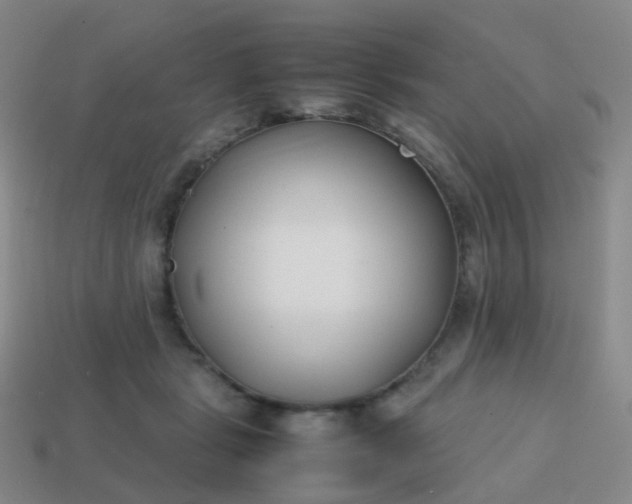 X0000113870461200910081730