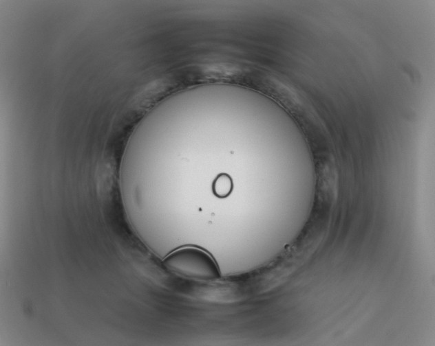 X0000113870463200910081730