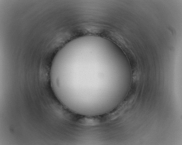 X0000113870464200910081730