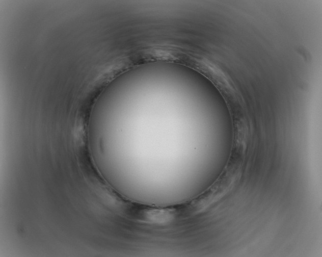 X0000113870465200910081730