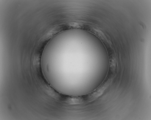 X0000113870466200910081730