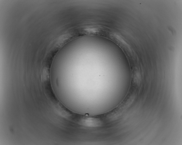 X0000113870467200910081730