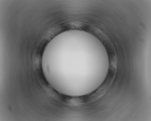 X0000113870468200910081730